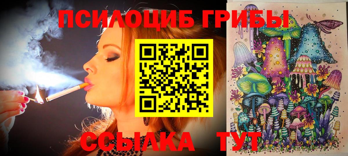 Псилоцибиновые грибы Psilocybe  Вход с VPN  Солнечногорск  Галлюциногенные грибы Psilocybine cubensis 